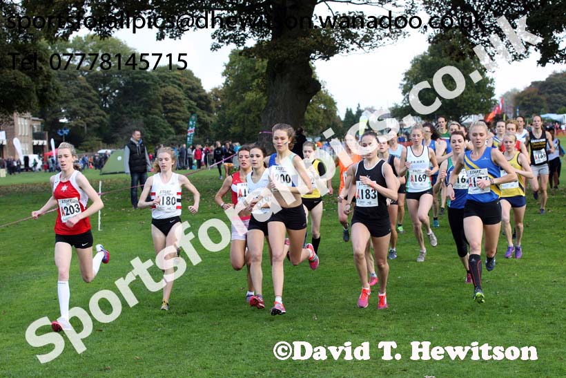 Senior womens Northern Cross Country Relays, Graves Park, Sheffield. Photo: David T. Hewitson/Sports for All Pics